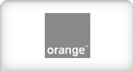 Orange vertaling case studie door Lingo24